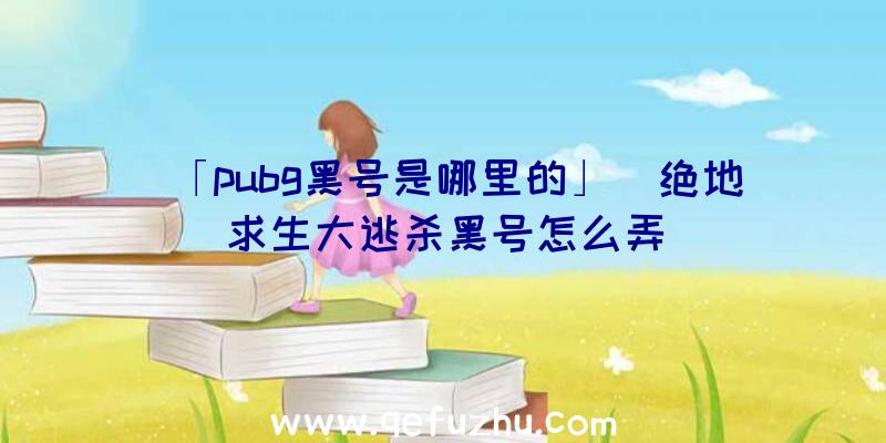 「pubg黑号是哪里的」|绝地求生大逃杀黑号怎么弄